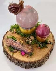 Burgundy snail & 2 shrooms